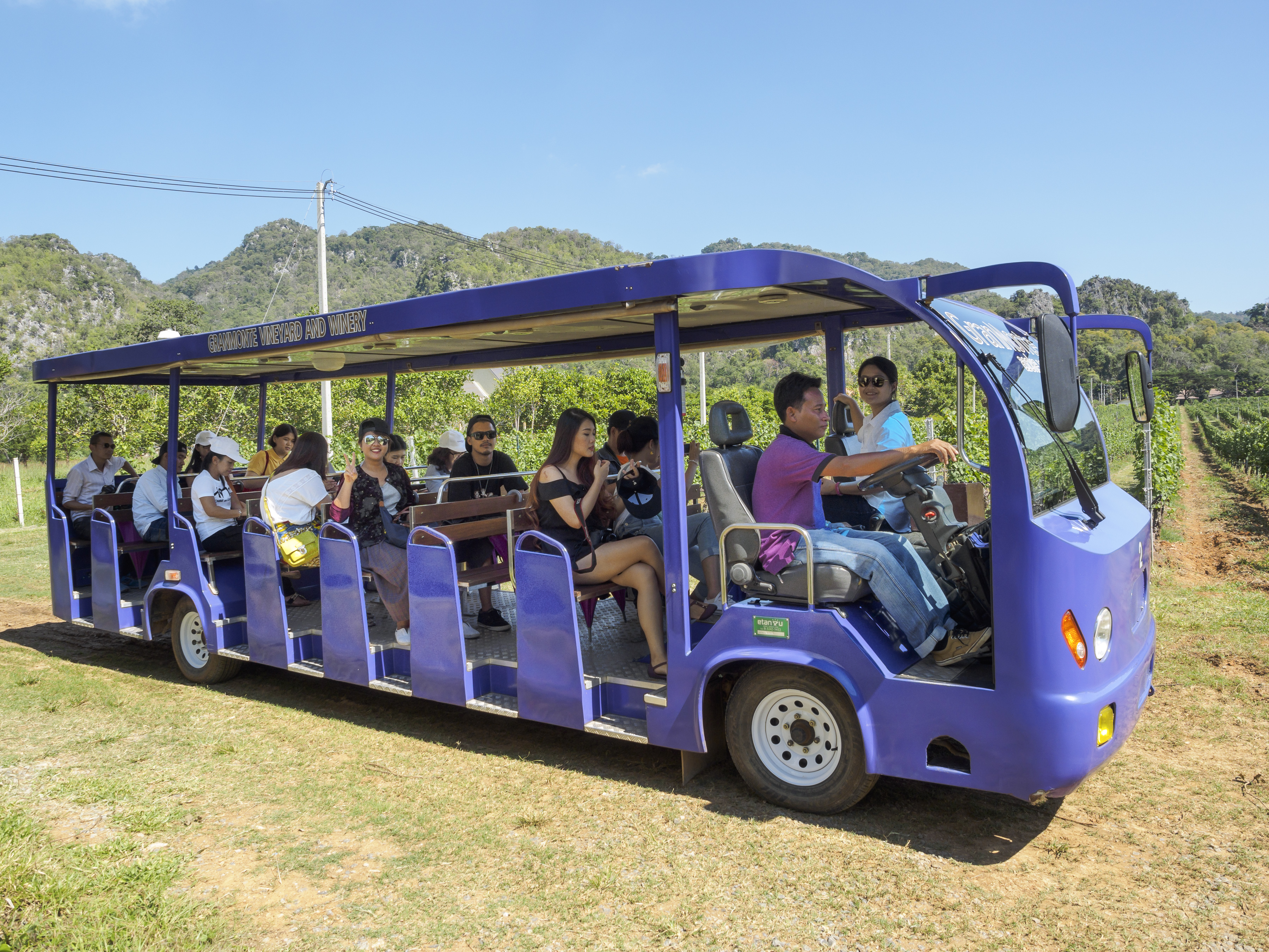 グランモンテワイナリー ぶどう畑/醸造所 見学